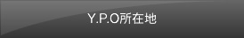 Y.P.O所在地